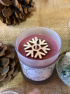 
            
                Load image into Gallery viewer, Cabin in the Woods | 12oz Glass Soy Candle
            
        